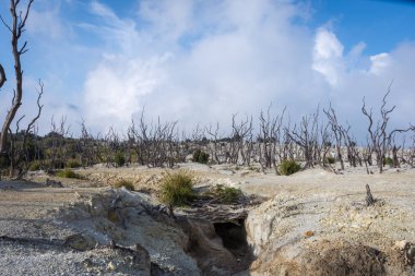 Papandayan Dağı'nın ölü ormanı turistler için en popüler yerdir. Geçmişteki volkanik patlamanın mirasının güzelliği. Papandayan Dağı Garut üzerinde yürüyüş için favori yerden biridir.