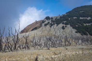 Papandayan Dağı'nın ölü ormanı turistler için en popüler yerdir. Geçmişteki volkanik patlamanın mirasının güzelliği. Papandayan Dağı Garut üzerinde yürüyüş için favori yerden biridir.
