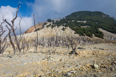 Papandayan Dağı'nın ölü ormanı turistler için en popüler yerdir. Geçmişteki volkanik patlamanın mirasının güzelliği. Papandayan Dağı Garut üzerinde yürüyüş için favori yerden biridir.