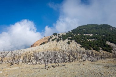 Papandayan Dağı'nın ölü ormanı turistler için en popüler yerdir. Geçmişteki volkanik patlamanın mirasının güzelliği. Papandayan Dağı Garut üzerinde yürüyüş için favori yerden biridir.