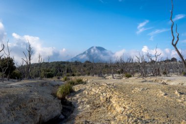Papandayan Dağı'nın ölü ormanı turistler için en popüler yerdir. Geçmişteki volkanik patlamanın mirasının güzelliği. Papandayan Dağı Garut üzerinde yürüyüş için favori yerden biridir.