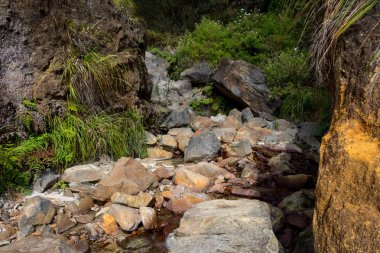 Bir dağda berrak su ile kayalık dere. Papandayan Dağı'nın güzel manzarası. Papandayan Dağı Garut üzerinde yürüyüş için favori yerden biridir.