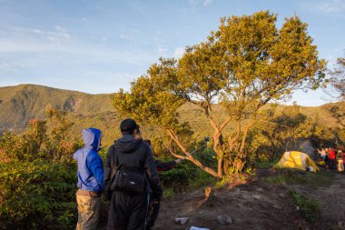 Garut, Endonezya-Ağustos 12, 2018: gençler bir grup zevk ve yürüyüş Papandayan Dağı. Papandayan Dağı, Garut 'ta yürüyüş yapmak için en sevdiğim yerdir..