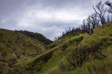 Garut, Endonezya-Ağustos 12, 2018: gençler bir grup zevk ve yürüyüş Papandayan Dağı. Papandayan Dağı, Garut 'ta yürüyüş yapmak için en sevdiğim yerdir..