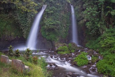 Raung Dağ Sloves, Kalibaru Wetan Köyü, Banyuwangi Regency, Endonezya güzelliği parçası ikiz şelaleler. Cava'da Tirto Kemanten su gelin veya su düğün çift anlamına gelir.