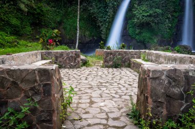 The twin waterfalls that part of beauty of Raung Mountain Sloves, Kalibaru Wetan Village, Banyuwangi Regency, Indonesia. Tirto Kemanten in Javanese means water bride or wedding couple of water. clipart