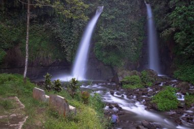 Raung Dağ Sloves, Kalibaru Wetan Köyü, Banyuwangi Regency, Endonezya güzelliği parçası ikiz şelaleler. Cava'da Tirto Kemanten su gelin veya su düğün çift anlamına gelir.