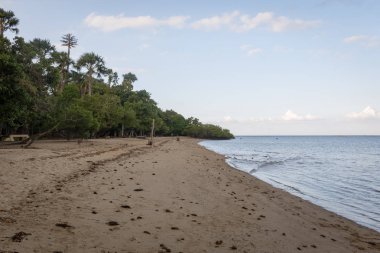 Bama Beach, Baluran güzel bir sahne. Baluran Milli Parkı Doğu Java, Endonezya kuzey kıyısında yaklaşık 25.000 ha uzanan bir orman koruma alanıdır.
