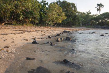 Bama Beach, Baluran güzel bir sahne. Baluran Milli Parkı Doğu Java, Endonezya kuzey kıyısında yaklaşık 25.000 ha uzanan bir orman koruma alanıdır.