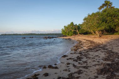 Bama Beach, Baluran güzel bir sahne. Baluran Milli Parkı Doğu Java, Endonezya kuzey kıyısında yaklaşık 25.000 ha uzanan bir orman koruma alanıdır.