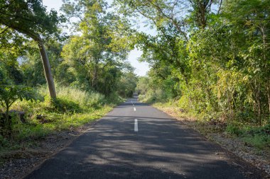 Baluran'da güzel çevre doğaile bir asfalt yol. Baluran Milli Parkı Doğu Java, Endonezya kuzey kıyısında yaklaşık 25.000 ha uzanan bir orman koruma alanıdır.
