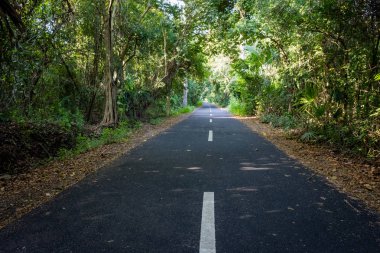 Baluran'da güzel çevre doğaile bir asfalt yol. Baluran Milli Parkı Doğu Java, Endonezya kuzey kıyısında yaklaşık 25.000 ha uzanan bir orman koruma alanıdır.