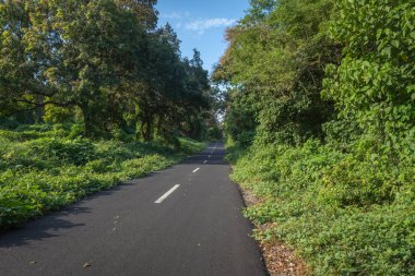 Baluran'da güzel çevre doğaile bir asfalt yol. Baluran Milli Parkı Doğu Java, Endonezya kuzey kıyısında yaklaşık 25.000 ha uzanan bir orman koruma alanıdır.