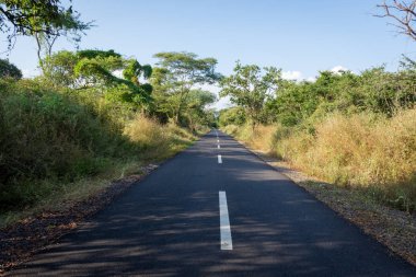 Baluran'da güzel çevre doğaile bir asfalt yol. Baluran Milli Parkı Doğu Java, Endonezya kuzey kıyısında yaklaşık 25.000 ha uzanan bir orman koruma alanıdır.