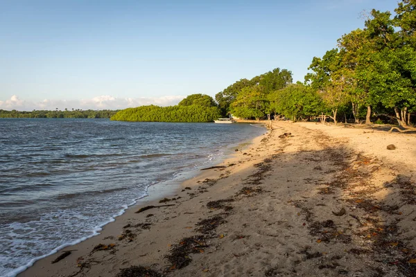 Bela cena de Bama Beach, Baluran. O Parque Nacional de Baluran é uma área de preservação florestal que se estende por cerca de 25.000 ha na costa norte de Java Oriental, Indonésia . — Fotografia de Stock