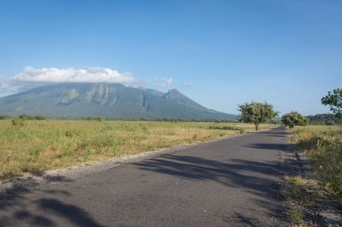 Baluran'da güzel çevre doğaile bir asfalt yol. Baluran Milli Parkı Doğu Java, Endonezya kuzey kıyısında yaklaşık 25.000 ha uzanan bir orman koruma alanıdır.