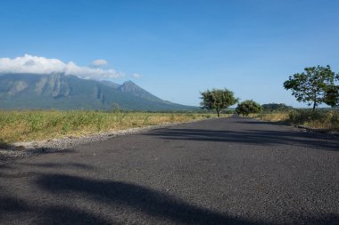 Baluran'da güzel çevre doğaile bir asfalt yol. Baluran Milli Parkı Doğu Java, Endonezya kuzey kıyısında yaklaşık 25.000 ha uzanan bir orman koruma alanıdır.