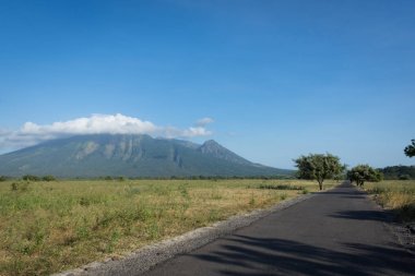 Baluran'da güzel çevre doğaile bir asfalt yol. Baluran Milli Parkı Doğu Java, Endonezya kuzey kıyısında yaklaşık 25.000 ha uzanan bir orman koruma alanıdır.