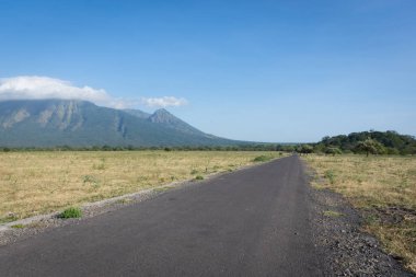Baluran'da güzel çevre doğaile bir asfalt yol. Baluran Milli Parkı Doğu Java, Endonezya kuzey kıyısında yaklaşık 25.000 ha uzanan bir orman koruma alanıdır.