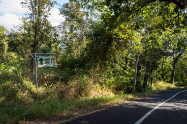 Baluran'da güzel çevre doğaile bir asfalt yol. Baluran Milli Parkı Doğu Java, Endonezya kuzey kıyısında yaklaşık 25.000 ha uzanan bir orman koruma alanıdır.