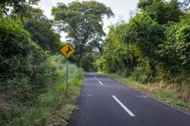 Baluran'da güzel çevre doğaile bir asfalt yol. Baluran Milli Parkı Doğu Java, Endonezya kuzey kıyısında yaklaşık 25.000 ha uzanan bir orman koruma alanıdır.