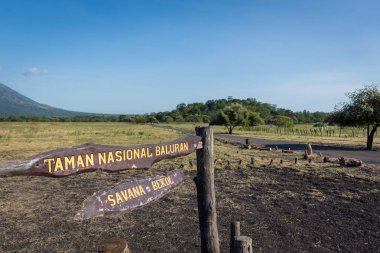 Banyuwangi, Endonezya - 29 Mayıs 2019 : Savanna Bekol Baluran'da imza. Baluran Milli Parkı Doğu Java kuzey kıyısında yaklaşık 25.000 ha uzanan bir orman koruma alanıdır.