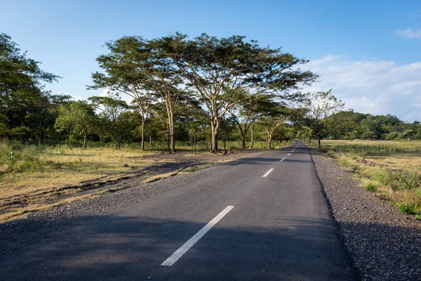 Baluran'da güzel çevre doğaile bir asfalt yol. Baluran Milli Parkı Doğu Java, Endonezya kuzey kıyısında yaklaşık 25.000 ha uzanan bir orman koruma alanıdır.