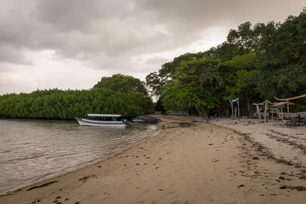 Banyuwangi, Endonezya - 29 Mayıs 2019 : Bama Beach'in güzelliği, Baluran. Baluran Milli Parkı Doğu Java kuzey kıyısında yaklaşık 25.000 ha uzanan bir orman koruma alanıdır. — Stok fotoğraf