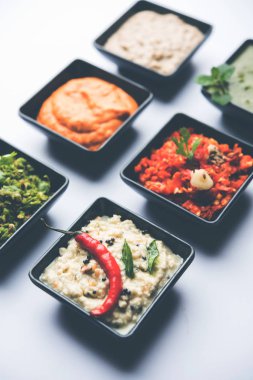 Hint Chutneys grup Hindistan cevizi, fıstık, yeşil ve kırmızı soğuk, sarımsak ve küçük kare şekli kase hizmet pudina içerir. seçici odak