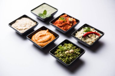 Hint Chutneys grup Hindistan cevizi, fıstık, yeşil ve kırmızı soğuk, sarımsak ve küçük kare şekli kase hizmet pudina içerir. seçici odak