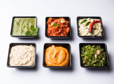 Hint Chutneys grup Hindistan cevizi, fıstık, yeşil ve kırmızı soğuk, sarımsak ve küçük kare şekli kase hizmet pudina içerir. seçici odak