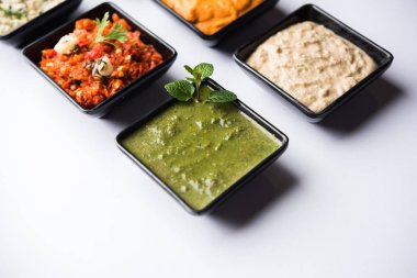 Hint Chutneys grup Hindistan cevizi, fıstık, yeşil ve kırmızı soğuk, sarımsak ve küçük kare şekli kase hizmet pudina içerir. seçici odak