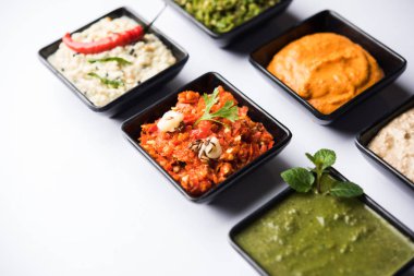 Hint Chutneys grup Hindistan cevizi, fıstık, yeşil ve kırmızı soğuk, sarımsak ve küçük kare şekli kase hizmet pudina içerir. seçici odak