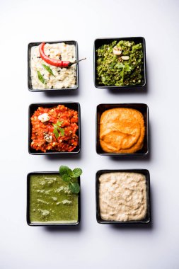 Hint Chutneys grup Hindistan cevizi, fıstık, yeşil ve kırmızı soğuk, sarımsak ve küçük kare şekli kase hizmet pudina içerir. seçici odak