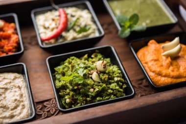 Hint Chutneys grup Hindistan cevizi, fıstık, yeşil ve kırmızı soğuk, sarımsak ve küçük kare şekli kase hizmet pudina içerir. seçici odak
