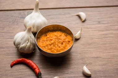 Sarımsak Hint turşusu, Hindistan, lahsun/lehsun kaynaklanan kullanılarak yapılan bir kapta moody arka plan üzerinde görev yaptı. seçici odak