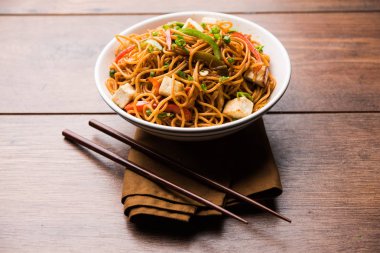 Schezwan hakka erişte paneer veya süzme peynir ile. Bir kasede servis. seçici odak