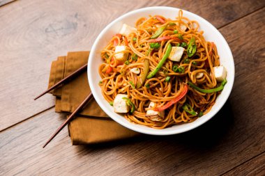 Schezwan hakka erişte paneer veya süzme peynir ile. Bir kasede servis. seçici odak