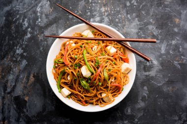 Schezwan hakka erişte paneer veya süzme peynir ile. Bir kasede servis. seçici odak