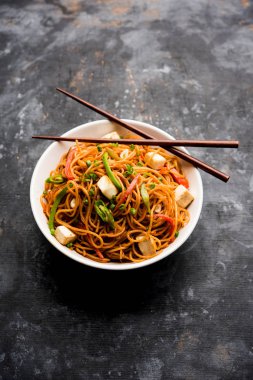 Schezwan hakka erişte paneer veya süzme peynir ile. Bir kasede servis. seçici odak