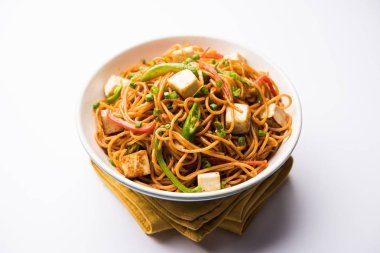 Schezwan hakka erişte paneer veya süzme peynir ile. Bir kasede servis. seçici odak