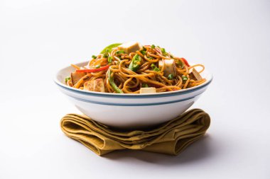 Schezwan hakka erişte paneer veya süzme peynir ile. Bir kasede servis. seçici odak