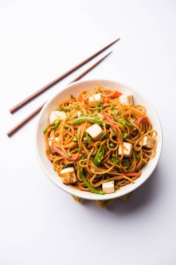 Schezwan hakka erişte paneer veya süzme peynir ile. Bir kasede servis. seçici odak