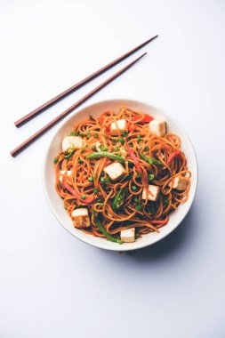 Schezwan hakka erişte paneer veya süzme peynir ile. Bir kasede servis. seçici odak