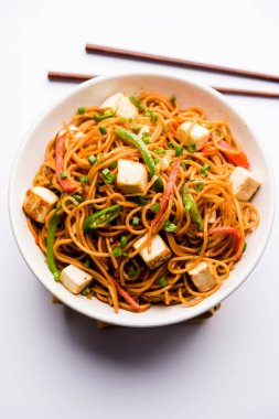 Schezwan hakka erişte paneer veya süzme peynir ile. Bir kasede servis. seçici odak