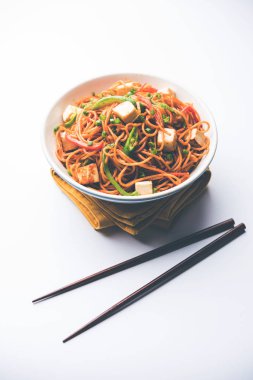 Schezwan hakka erişte paneer veya süzme peynir ile. Bir kasede servis. seçici odak