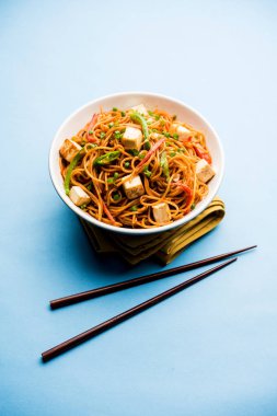 Schezwan hakka erişte paneer veya süzme peynir ile. Bir kasede servis. seçici odak