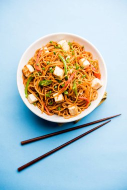 Schezwan hakka erişte paneer veya süzme peynir ile. Bir kasede servis. seçici odak