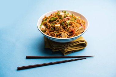 Schezwan hakka erişte paneer veya süzme peynir ile. Bir kasede servis. seçici odak