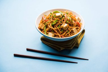 Schezwan hakka erişte paneer veya süzme peynir ile. Bir kasede servis. seçici odak